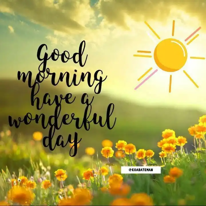 good morning nature images